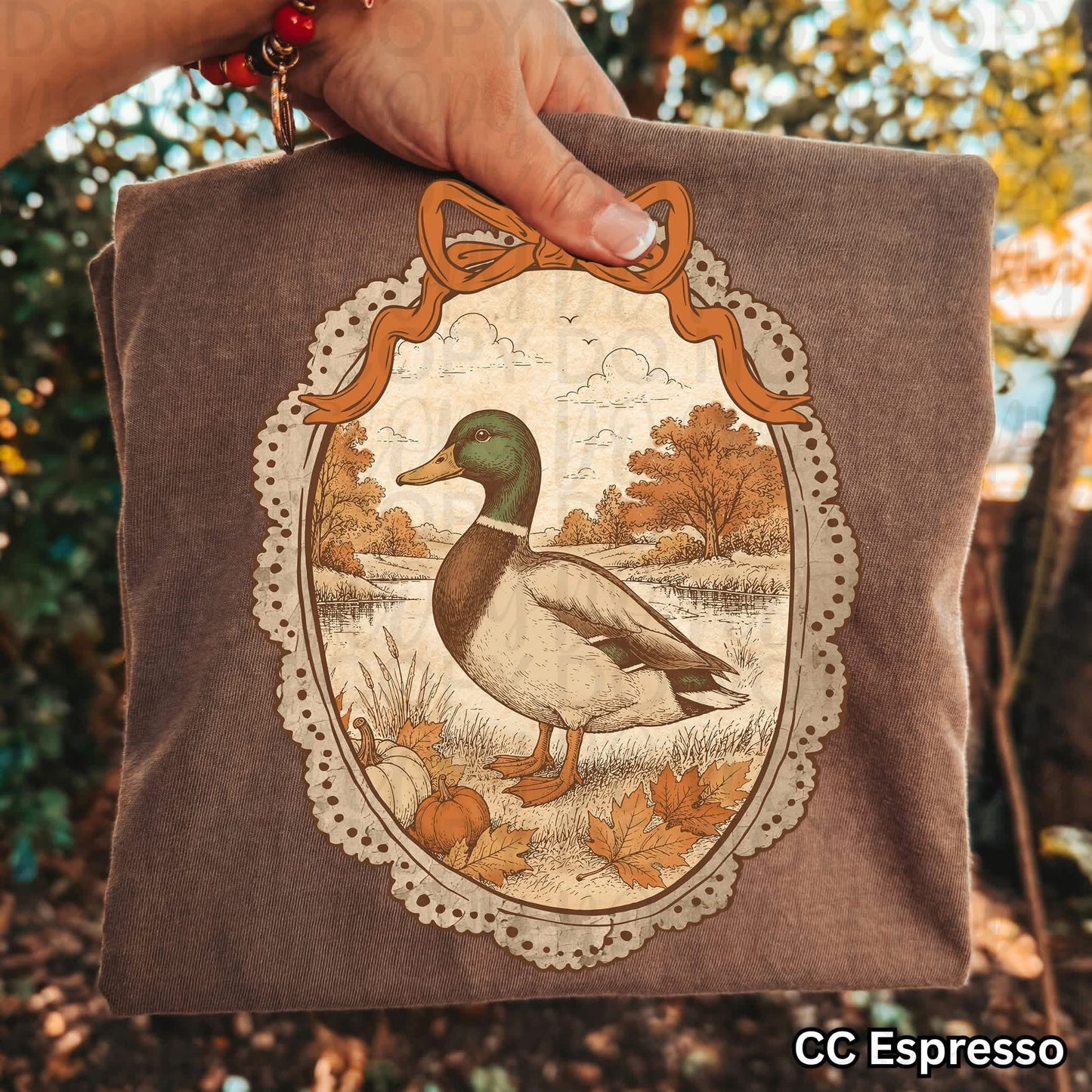 Framed Mallard Comfort Colors Graphic Tee